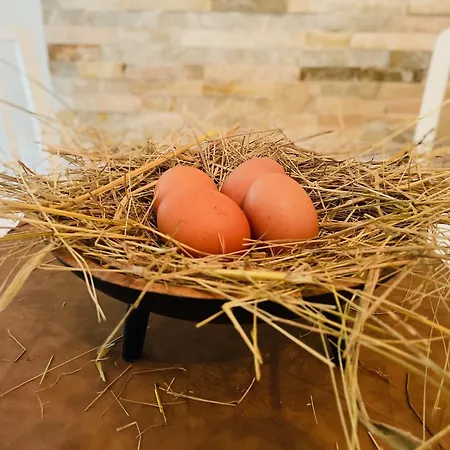 Maison Azurélienne 4*